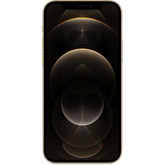 iPhone 12 pro (FaceTime – International Specs)